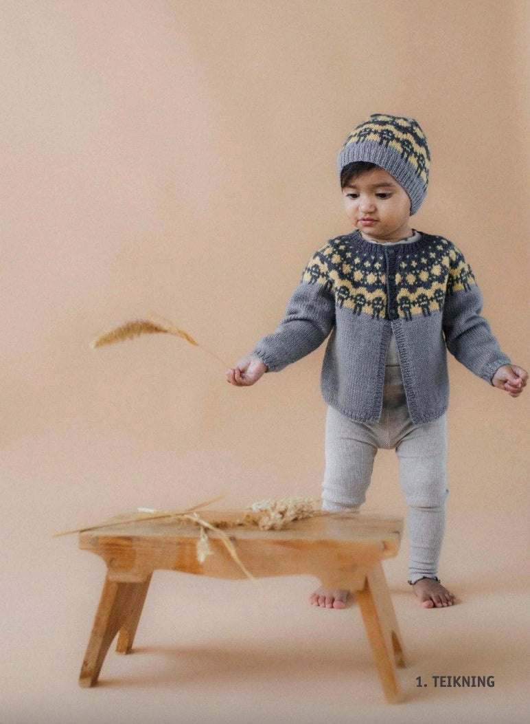 Istex Lopi Book #42 pattern book teikning cardigan