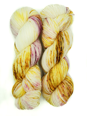 Ancient Arts Socknado superwash merino nylon the bees knees